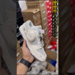 Nikee SB Dunk Low X North Face 2025