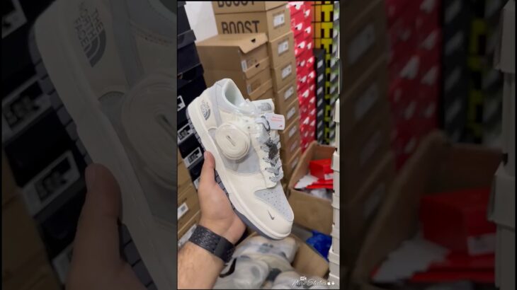 Nikee SB Dunk Low X North Face 2025