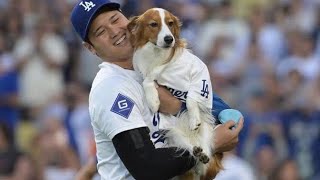 デコピン、レッドカーペットで登場は？昨年はジャケットの裏地でプリントがびっしり　大谷翔平は愛犬の成長を語る