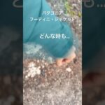 山歩きの必携アイテム！パタゴニアのフーディニ・ジャケット #自然 #山歩き　#パタゴニア　#登山　#爆風　#アウトドア