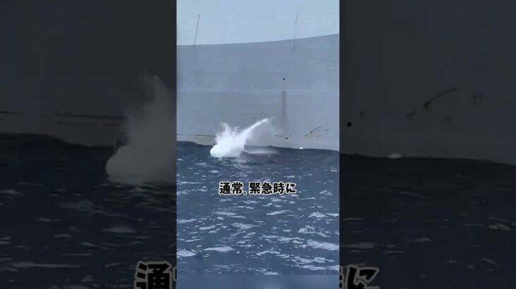 ライフジャケットだけでは不十分？海に浮かぶ巨大な救命システムの正体