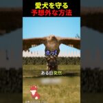 特製ジャケットで無敵化？まさかの逆転劇