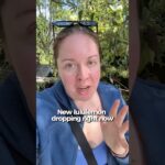 New releases dropping right now! Define jacket in Sequoia and so much more! #lululemoncreator #ad