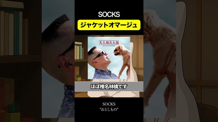 SOCKS ジャケットオマージュ