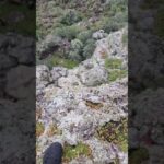 this was fun…#camper #food #capetown #thenorthface