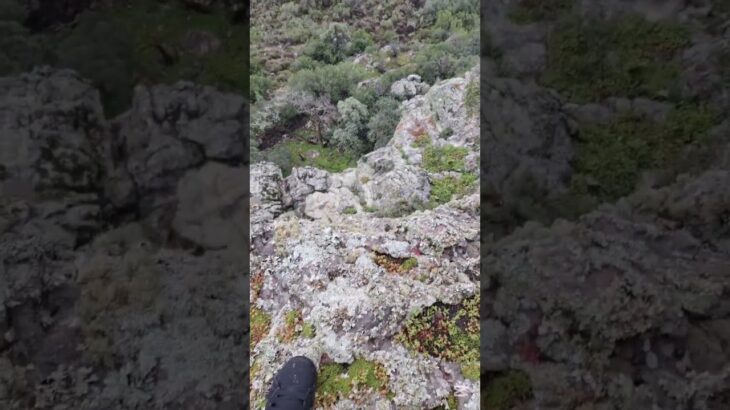 this was fun…#camper #food #capetown #thenorthface