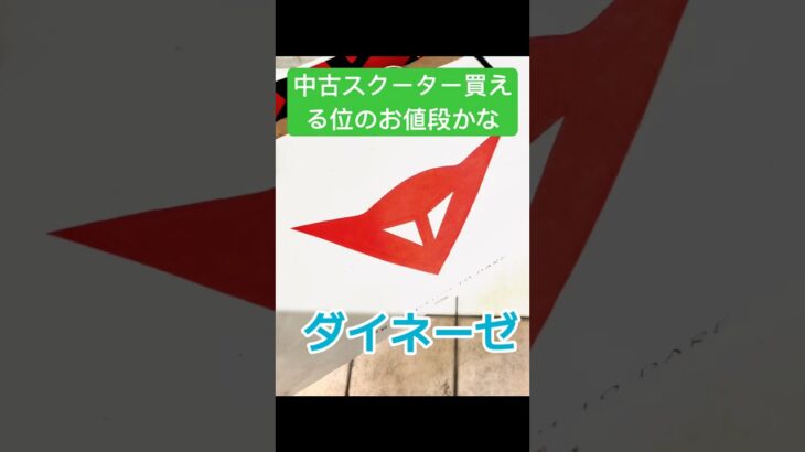 高級ウェアのダイネーゼでジャケット購入したけど中古のスクーター買えちゃう位だわ。