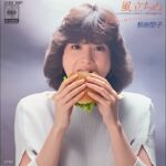 『昭和アイドル　♬レコードジャケット』別人に変身した人も❔😲