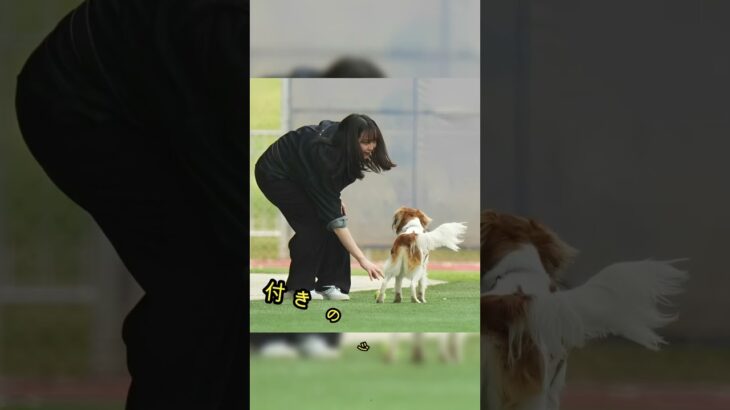 真美子夫人着用のデニムジャケットが想像の10倍はヤバい金額だった！#shorts #大谷翔平 #野球