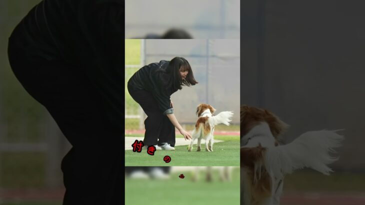 真美子夫人着用のデニムジャケットが想像の10倍はヤバい金額だった！#shorts #大谷翔平 #野球