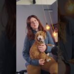 Beste Damen-Motorradjacke?