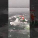 Brave sailors face the risks of the North Sea ⚓ #northsea #shorts #roughsea #ship