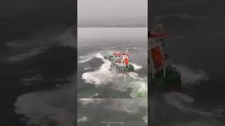 Brave sailors face the risks of the North Sea ⚓ #northsea #shorts #roughsea #ship