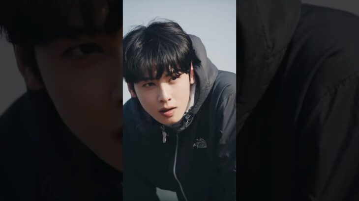 📽️ Cha Eunwoo for The North Face Bouvet Jacket style meets adventure 🏔️💙#ChaEunwoo  #TheNorthface