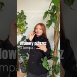 Dobra, co sądzicie o tych kurtkach? 🤭♥️  #jacket #viraljacket #vinted #zakupy #haulzakupowy