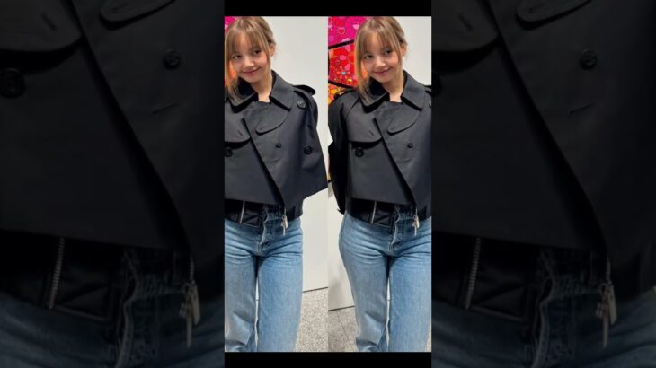 lisa wearing sacai contrast panel double breasted jacket & disney cinderella lucifer plush hair clip