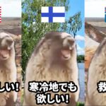 【ダサいのに救世主】扇風機ジャケットが世界にバレたら#猫マニ #猫ミーム