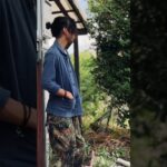 70年代前後のユーロワークジャケット(多分フ ランス製)にドイツ軍のフレクターカモの軍パンコーデ  #古着 #古着コーデ #ミリタリー #ミリタリーファッション #ワークジャケット