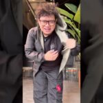 ￼Dobujack Jacket Reversible Holly Black