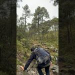 El polar de The North Face YUMIORI!!!!