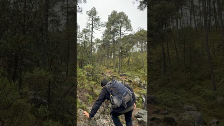 El polar de The North Face YUMIORI!!!!