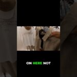 Is This $100 Jacket Worth It?