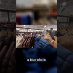 Is This the Best Winter Jacket?