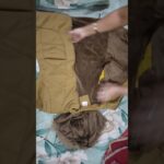 Meri new jacket. 🧥. #minivlog #vlogging #vloggirl