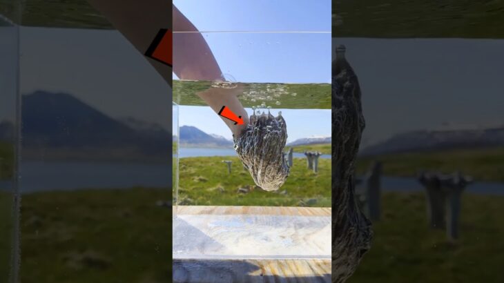 The World’s Rarest Jacket: Made in Ice!