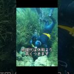 スマホ用ライフジャケット📱