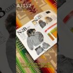 N-2B U.S. Air Force Flight Jacket | AJ357 STUDIO アメリカ空軍 N2B フライトジャケット ヴィンテージ #usarmy