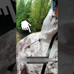 “The Jacket That Changes Color When It Gets Wet — Mind-Blowing Innovation!” #shorts #viral #new