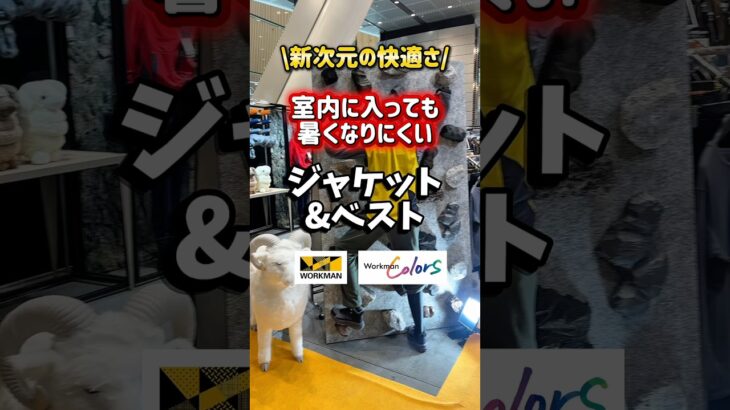 ワークマンがまたすっごいジャケット出しました！お店に入って脱いだり着たりが楽になるかも⁉️#ワークマン #ワークマン女子 #fashion #アウター #ジャケット #秋冬コーデ #秋服